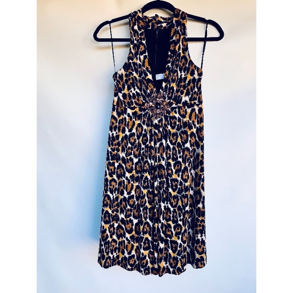 Animal Print, Sleeveless, Silk Dress